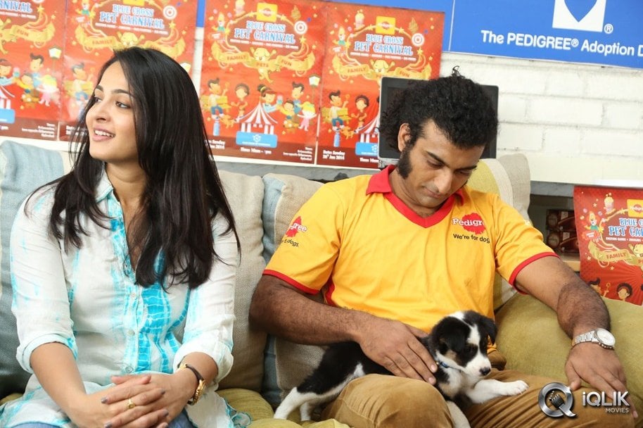 Anushka-at-Blue-Cross-Pet-Carnival-2014